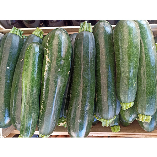 Courgettes