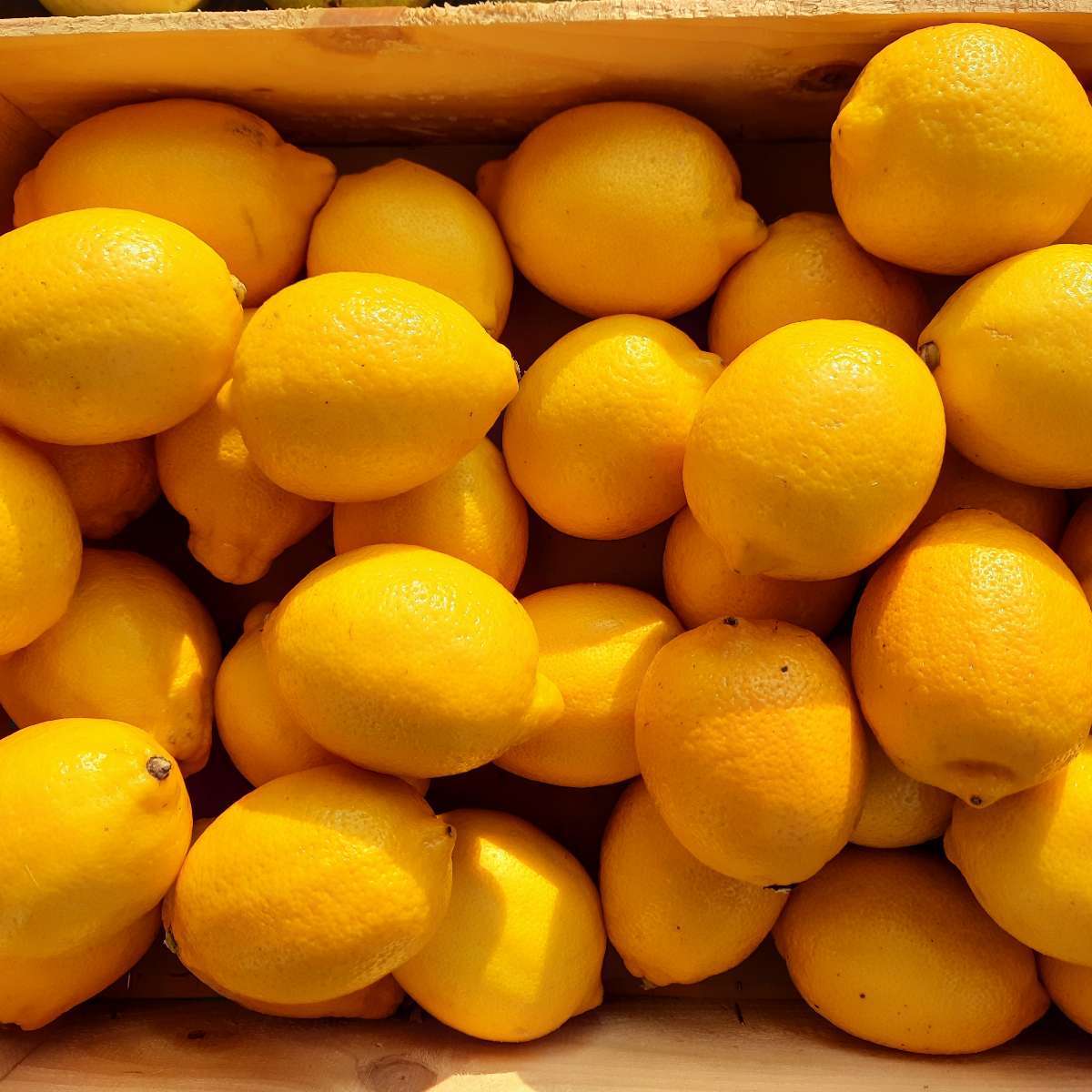 Citrons frais